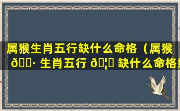 属猴生肖五行缺什么命格（属猴 🌷 生肖五行 🦆 缺什么命格好）